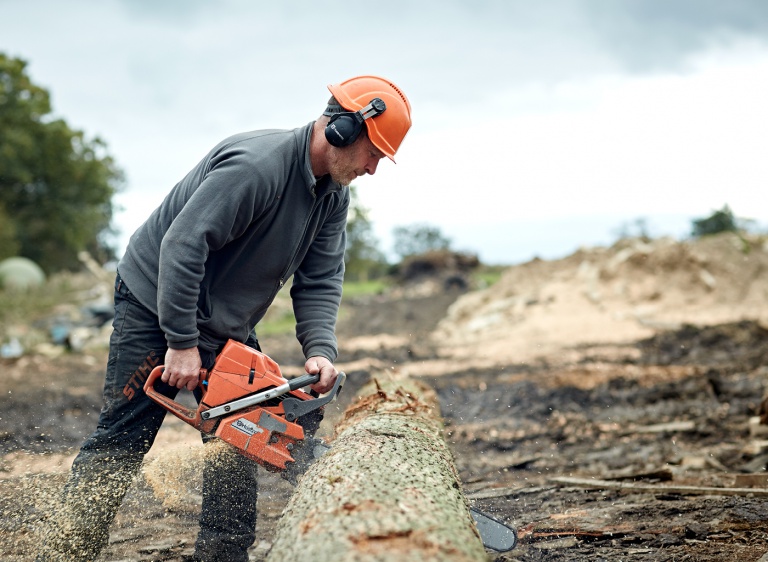 Man using chainsaw to cut oak tree